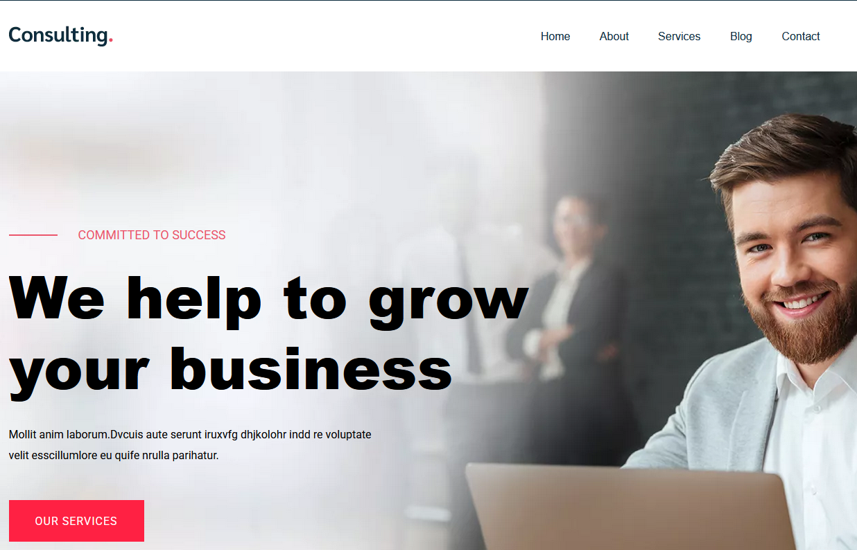 Business Consulting Template